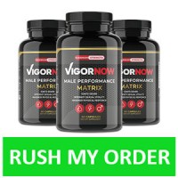 What are the key ingredients of Vigor Now Male Performance?