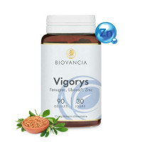 Vigorys Avis Expériences Avantages Prix – Vigorys Commentaires Prix officiel, acheter