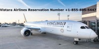 Book Vistara Airline Ticket