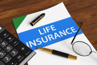 Viva Insurance Agency LLC - Melbourne FL