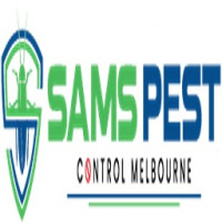 Bee Removal Melbourne