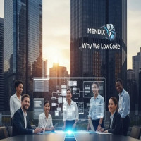 We LowCode