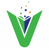 WebVidya Pvt Ltd