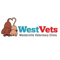 Westerville Veterinary Clinic