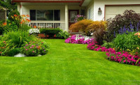 Foster City Lush Landscaping