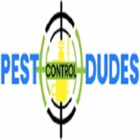 Dudes Spider Control Melbourne