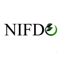 Nifdo Vitamin C Serum in Pakistan