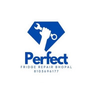 Perfect Fridge Repair Bhopal