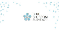 Blue Blossom Surveys Ltd