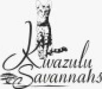Kwazulu Savannahs