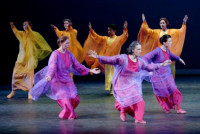 Experience Movement and Harmony at the Leading Dance School in Zug – Eurythmie Classes for All Ages