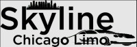 Skyline Chicago Limot