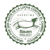 Bauen Project