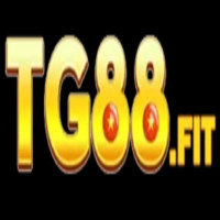 TG88 – Nhà cái đẳng cấp số 1 tại việt Nam