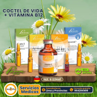 Vida C Plus - La verdadera megadosis de vitamina C