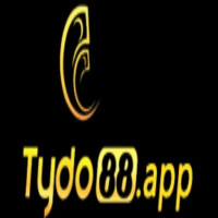 Tydo88 – Quà Tặng Khởi Đầu, Trải Nghiệm Đỉnh Cao