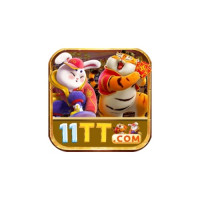 11tt