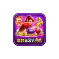 br537