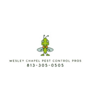 Wesley Chapel Pest Control Pros