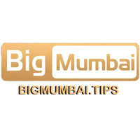 Big Mumbai – India’s No.1 Online Gaming Experience