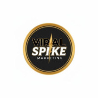 Ecommerce Digital Marketing Agencies for Online Sales Growth | Viral Spike Marketing
