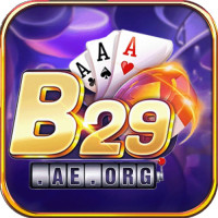B29 Club