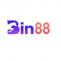 Bin88 llc