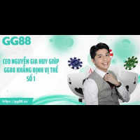 ceo nguyễn gia huy