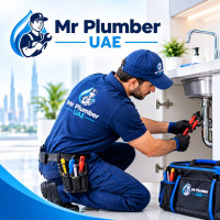 mr.plumber