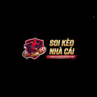 SK 24H