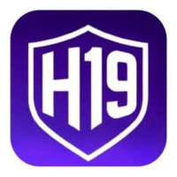 H19