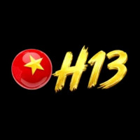 H13