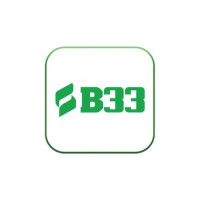 B33