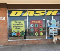 Dash Cellular Repair