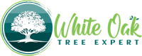 White Oak Tree Expert – Tree Care, Removal & Pruning Services in Glen Burnie, MD