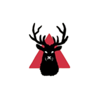 Wild Stag Studio, Brighton
