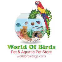 World ofBirds