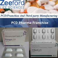 Best PCD Pharma Franchise Company - Zeeford Life Sciences