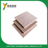 Bintangor Faced Plywood13