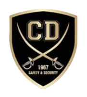 CD Safety and Security Services LLP