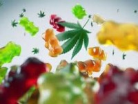Zenzi Hemp Gummies Anmeldelser(site)!