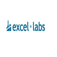 Excel Labs