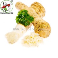 New Crop Fresh Horseradish38