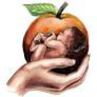 Sacred Birth Midwifery