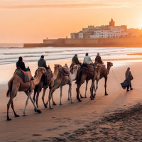 Palma Quad – Adventure Tours in Essaouira