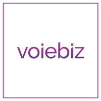 VOIEBIZ LLC