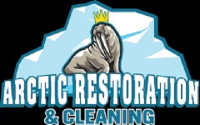 Arctic Restoration and Cleaning