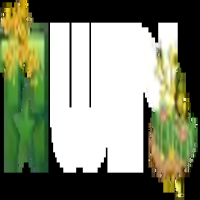 11winpubnk