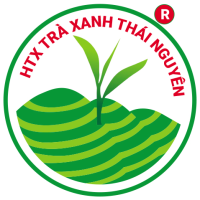 trahoalaivn