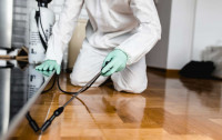 Frontline Pest Control Perth